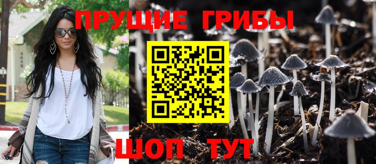 Анжеро-Судженск  Псилоцибиновые грибы ЛСД  Вход с VPN 